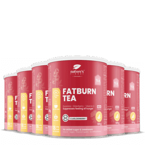 FatBurn Tea 6x pachet