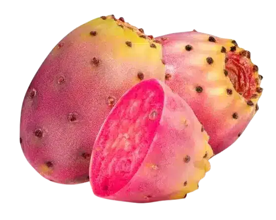 Neopuntia™