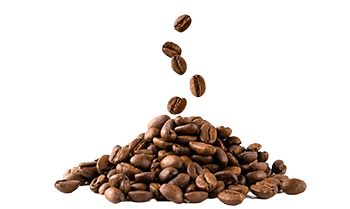 Cafea instant (Coffea arabica L.)