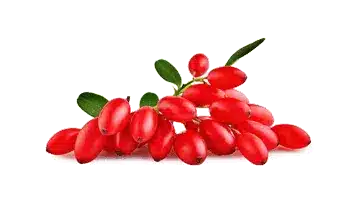 Rebersa ® (Extract de berberină)
