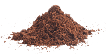 Extract de palmier pitic