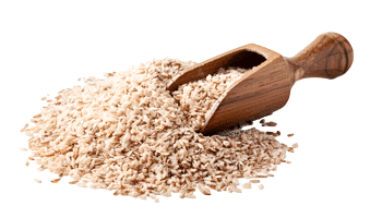 Coajă de psyllium