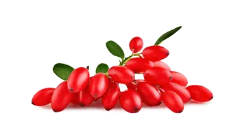 Rebersa ® (extract de berberină)