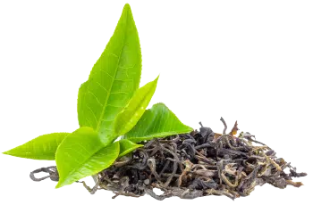 Ceai verde