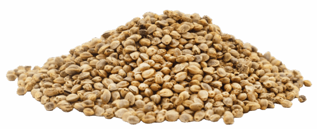 Proteină de cânepă