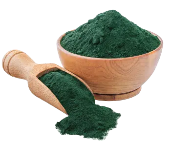 Spirulină
