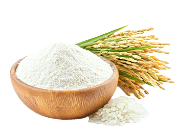 Făină de orez (Oryza sativa)