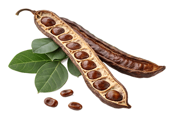 Extract de roșcovă