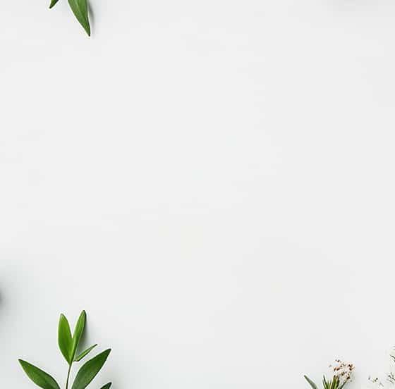 HP-BACK TO ROUTINE-2